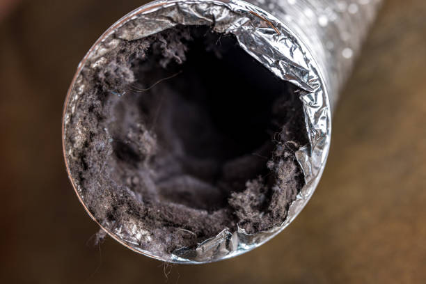 Best Dryer Vent Cleaning Services  in Nitro, WV